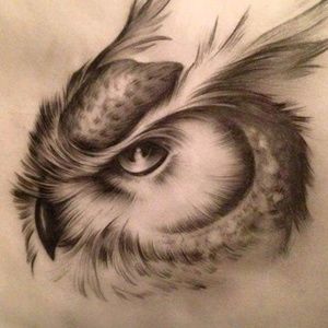 Meet your Posher, Sierra